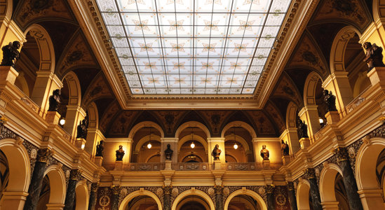 Lesní panorama z dronu