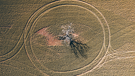 Corporate photo Letecky-pohled-koreny-casu